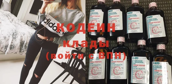 прущие грибы Алзамай