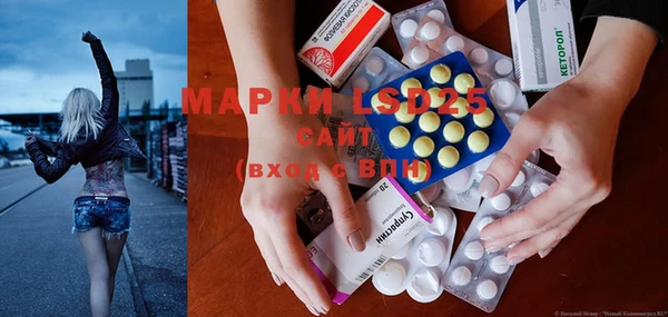 прущие грибы Алзамай