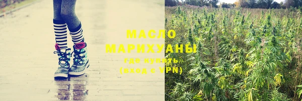 прущие грибы Алзамай
