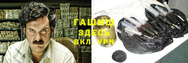 прущие грибы Алзамай
