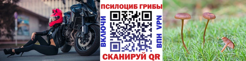 что такое   Старый Оскол  Псилоцибиновые грибы Psilocybine cubensis 