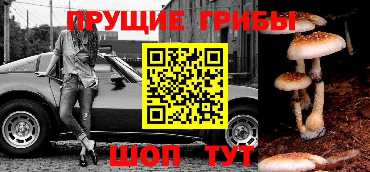 как найти закладки  Галлюциногенные грибы Cubensis  Вход с VPN  Старый Оскол  Галлюциногенные грибы MAGIC MUSHROOMS 