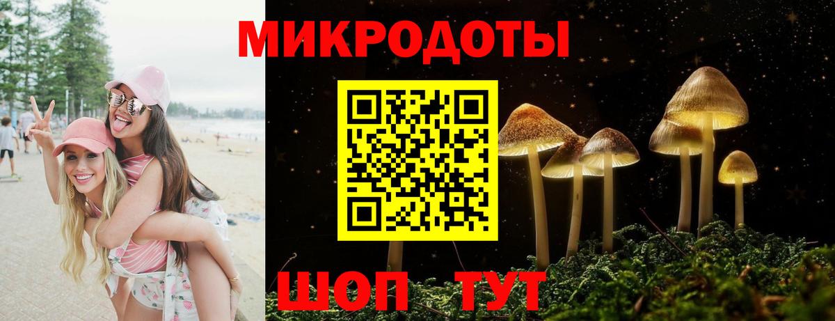 Псилоцибиновые грибы прущие грибы Старый Оскол